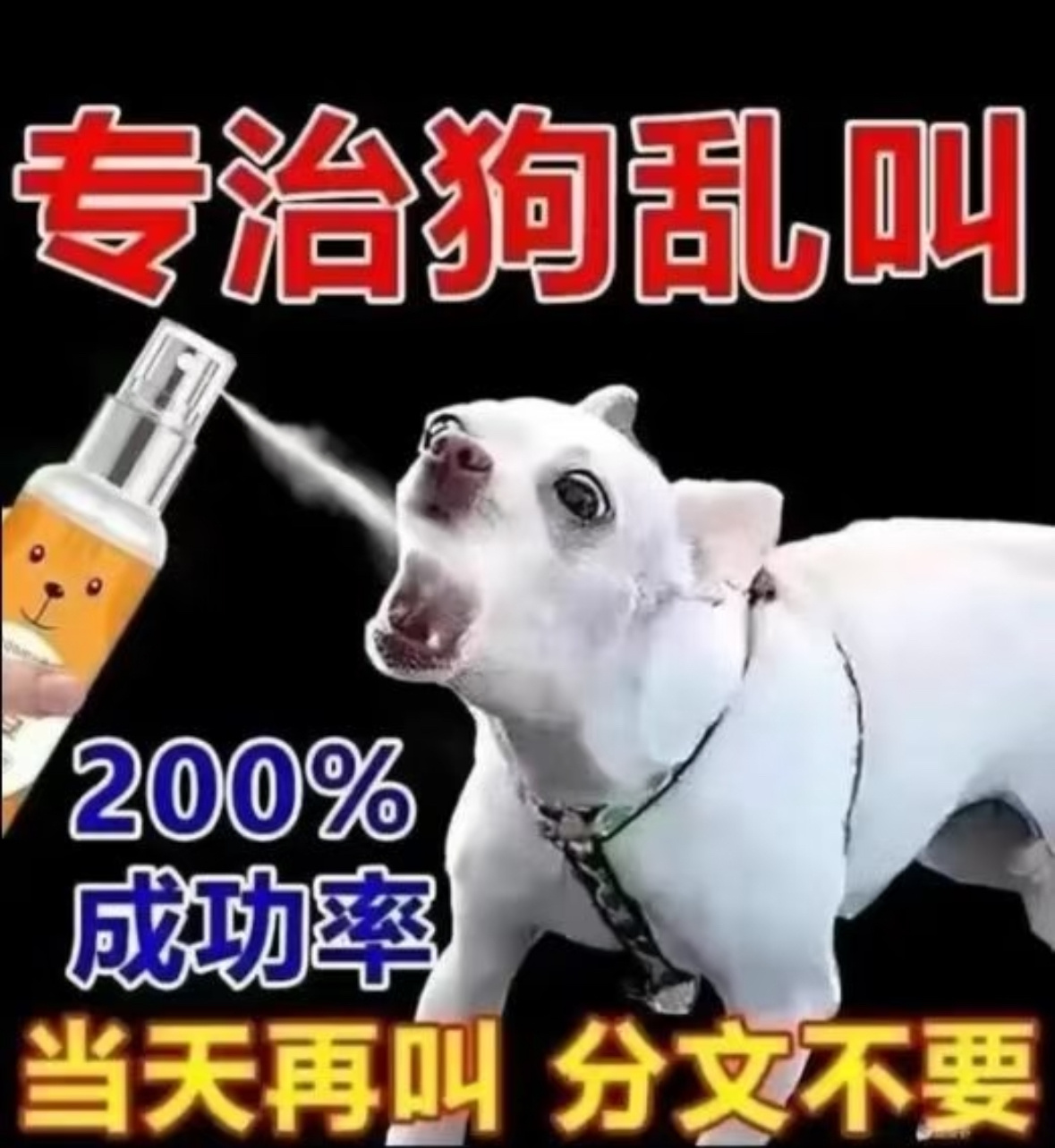 分享图片 