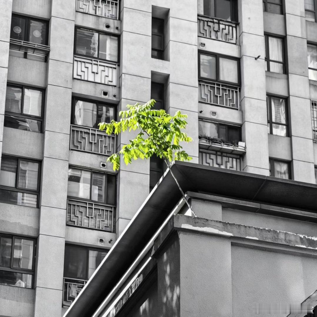 让开心，推开每天的门窗；让幸福，迎接灿烂的曙光 ；让问候送去心中的温暖；让快乐，