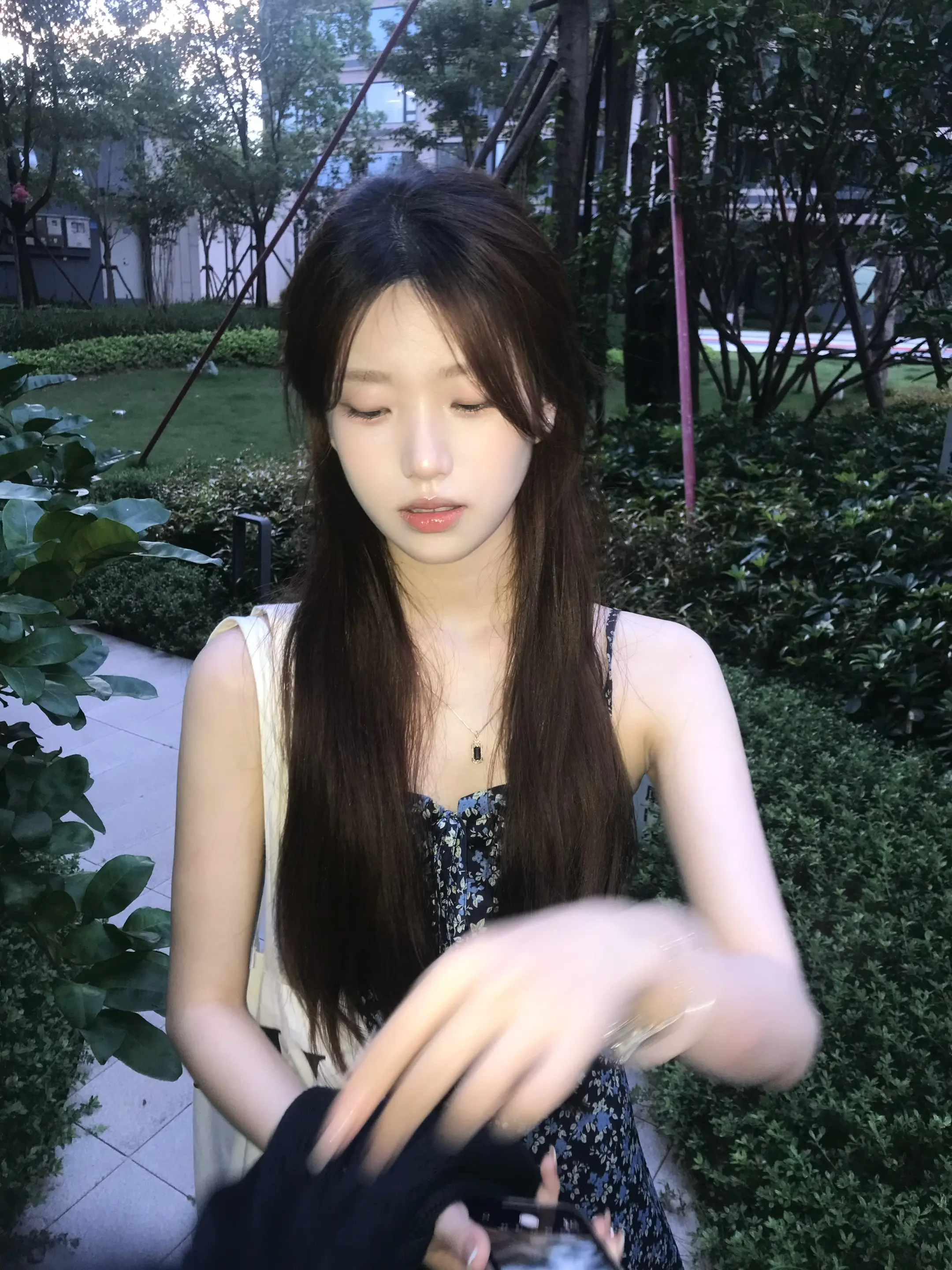 你明明什么都懂 只是不想为了我这么做
