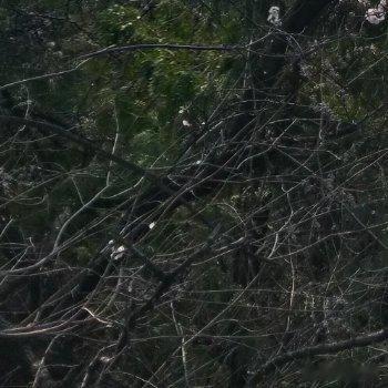 阳光信用 愿你放下执着，放下不甘心，从今以后，只负责精彩自己的人生。往事不回头，