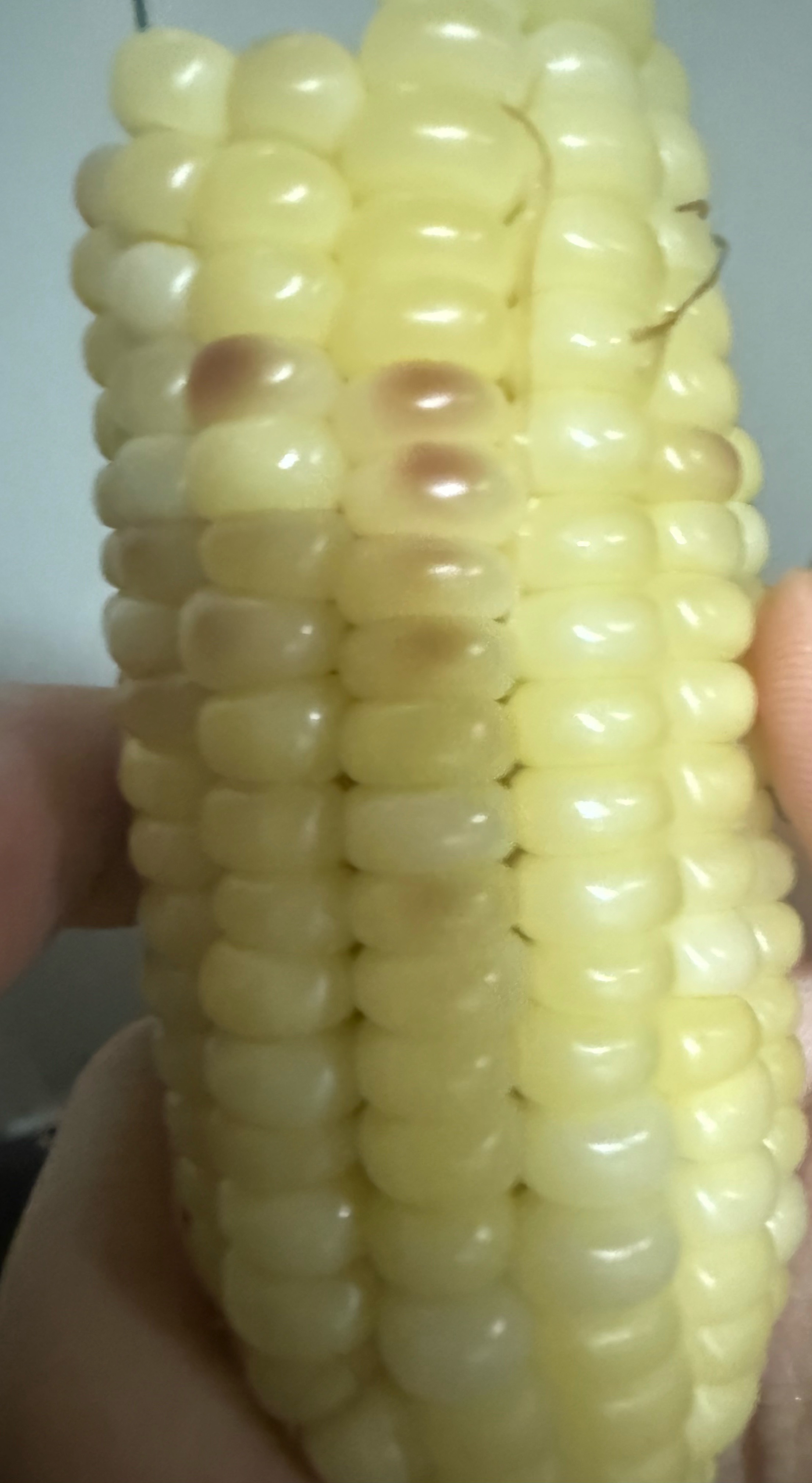 学白梦妍吃玉米