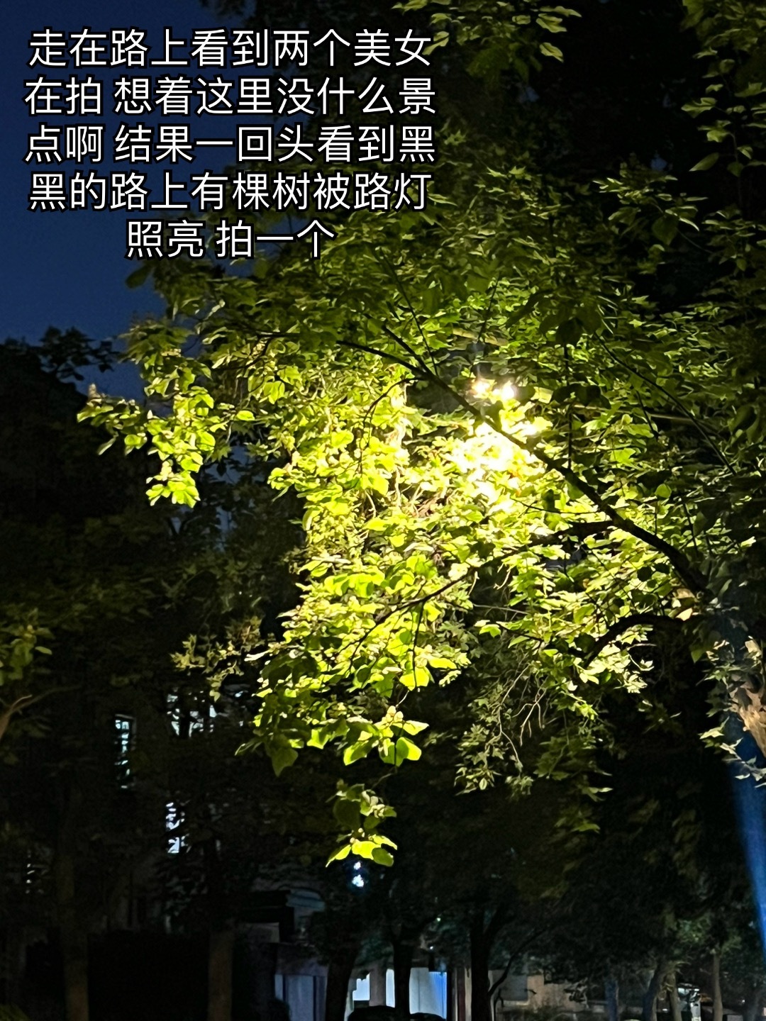 两天两夜的西安游结束了，其实除了按摩其他都是在一天内完成的，下次再也不特种兵了，