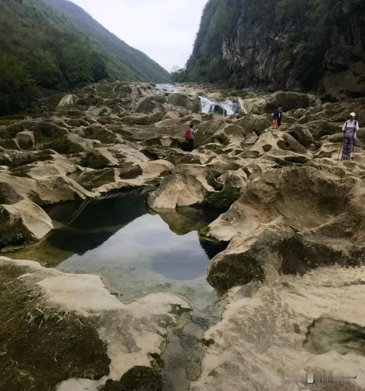 公园美丽景随拍