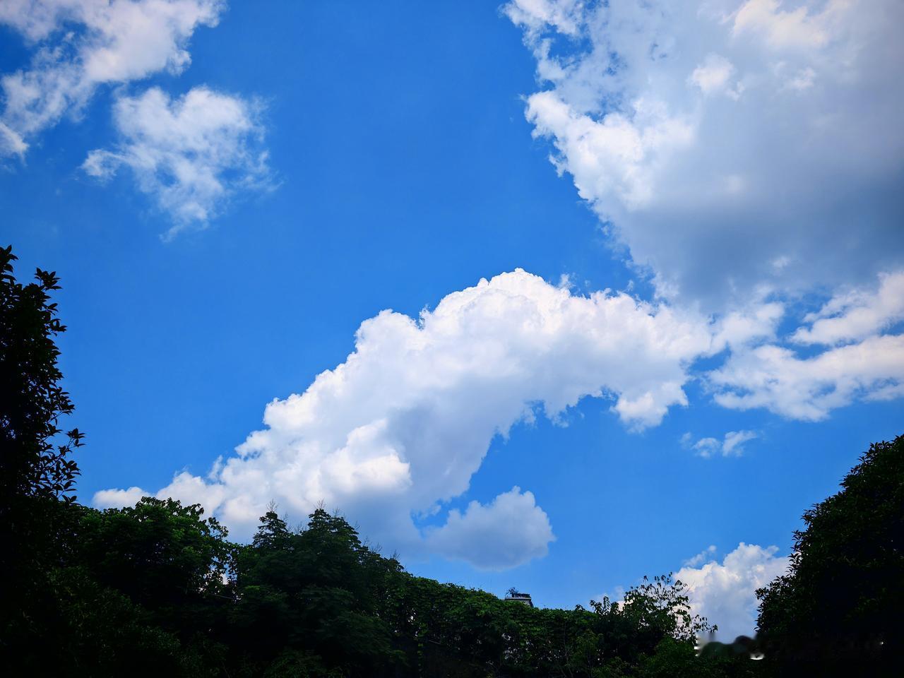 重庆的夏天，就像是把空调装反了一样，走在大街上360℃无死角的热，关键是还没风，