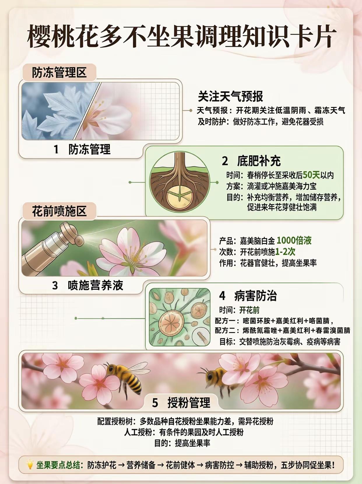 樱桃花多不坐果？怎么办？。樱桃种植 开花