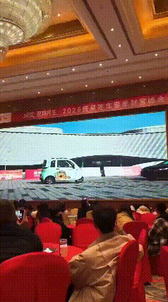 兄弟们谁懂啊？三轮秒杀四轮，这操作真是神了，也不知道黑轿车是啥牌子，要让你选择，