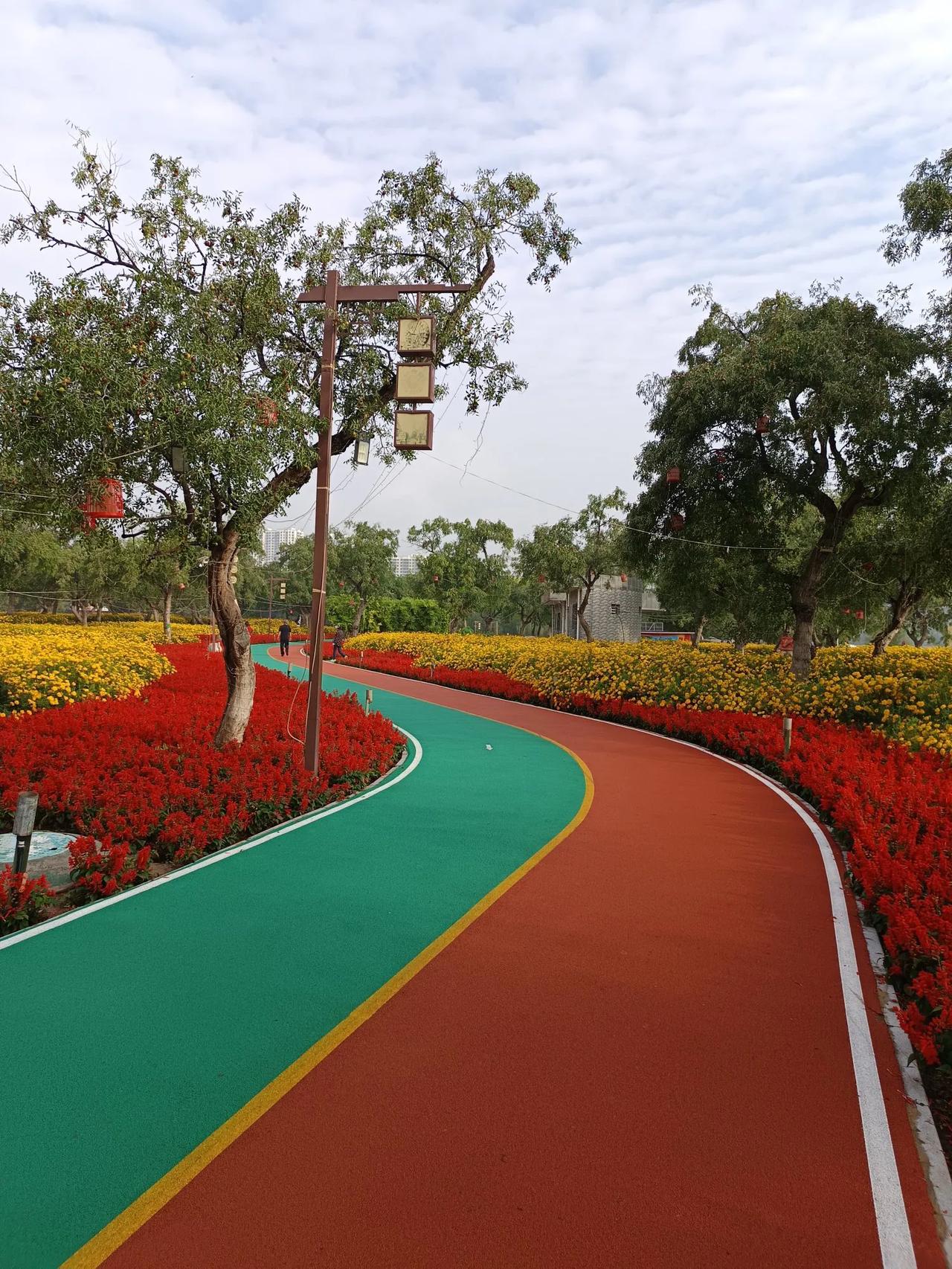 #拍一张家乡的美丽风景#刘家峡黄河花堤