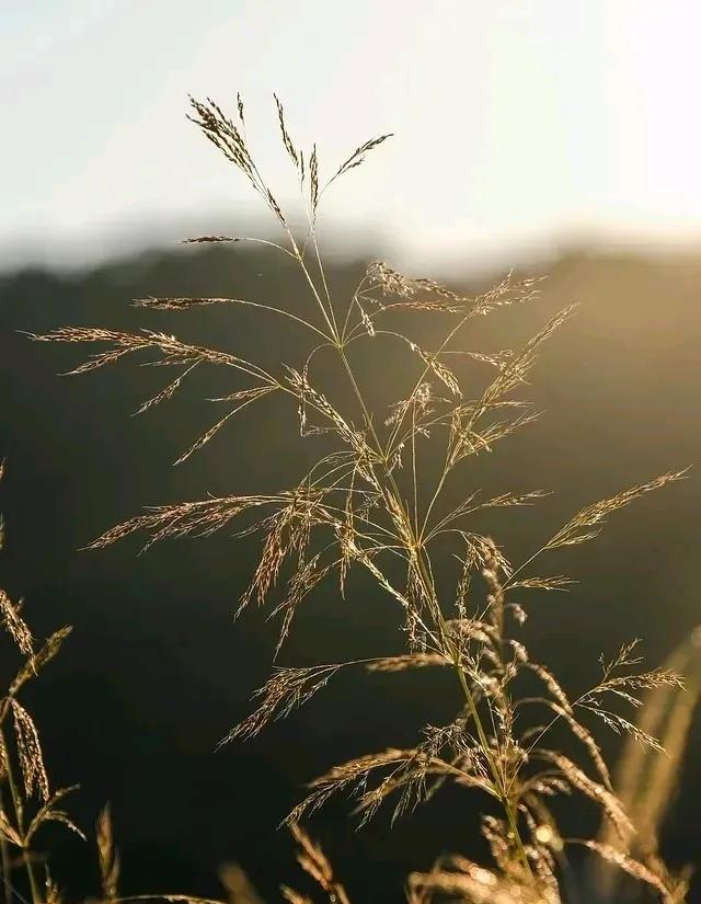 生活中最容易读错的生僻字，这些词语是非常容易读错的，欢迎大家补充。

有一些词语