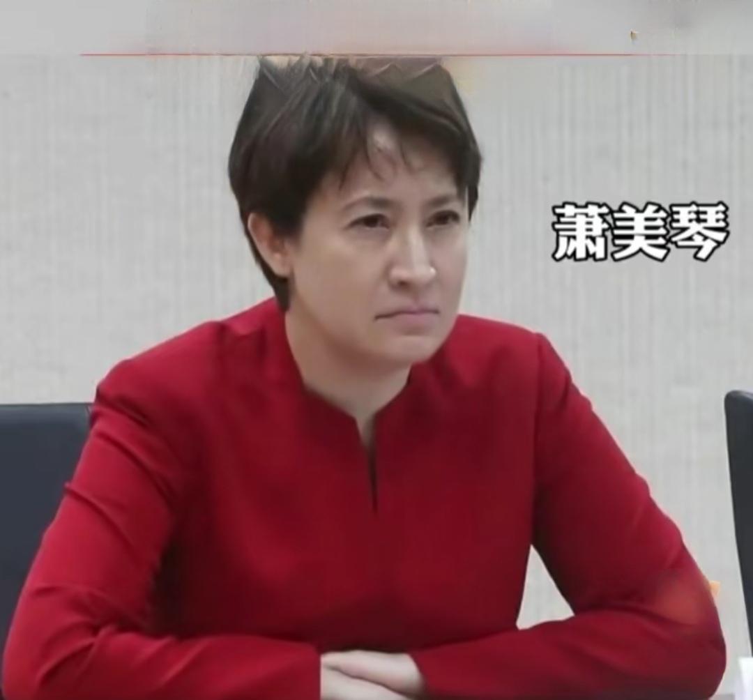 她再次惹怒国人！

54岁萧美琴，蔡英文闺中密友。生于日本，长在中国台湾省，妥妥