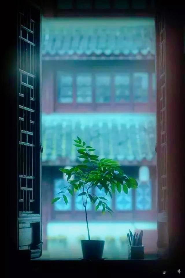 现代版红楼 · 夏晨｜那颗留不住的露珠

晨露转瞬，良辰易逝，大抵世间美好，皆是