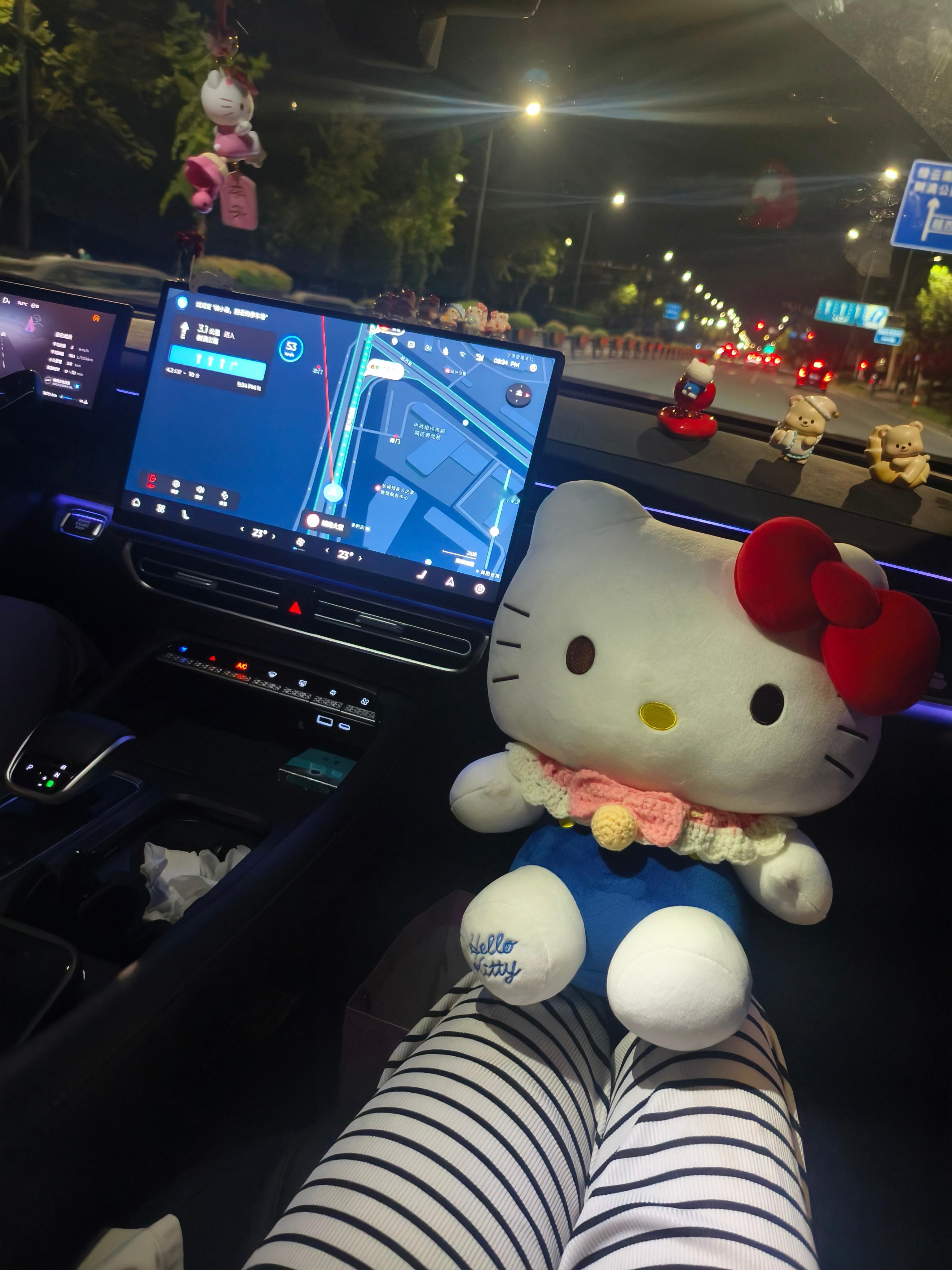 新欢🐱 （一车的HelloKitty） 