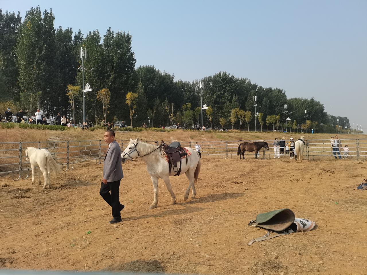白马河
新添新项目
骑马骑行活动
在白马河
杭大路大桥下
有一个骑马俱乐部
大约