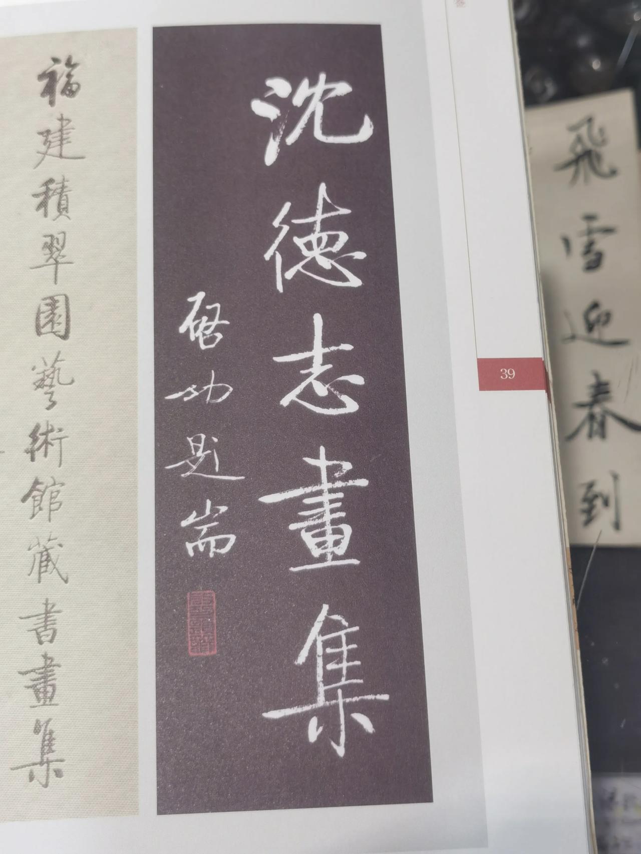 启功先生为宁夏画家沈德志画集题名《沈德志画集》，是先生题名中的一件珍品。
沈德志