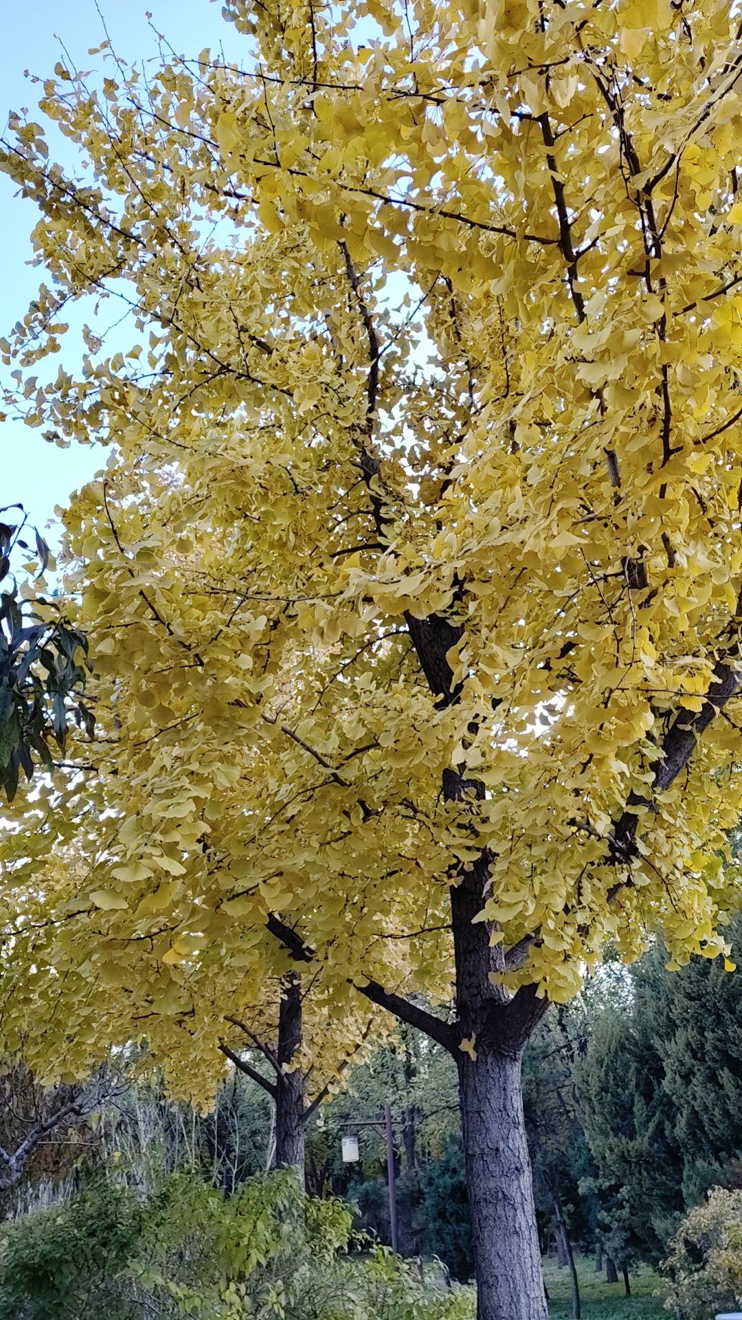 福建舰服役将如何影响台海局势没有什么影响，福建航是来对付外来入侵的。教育不孝子孙