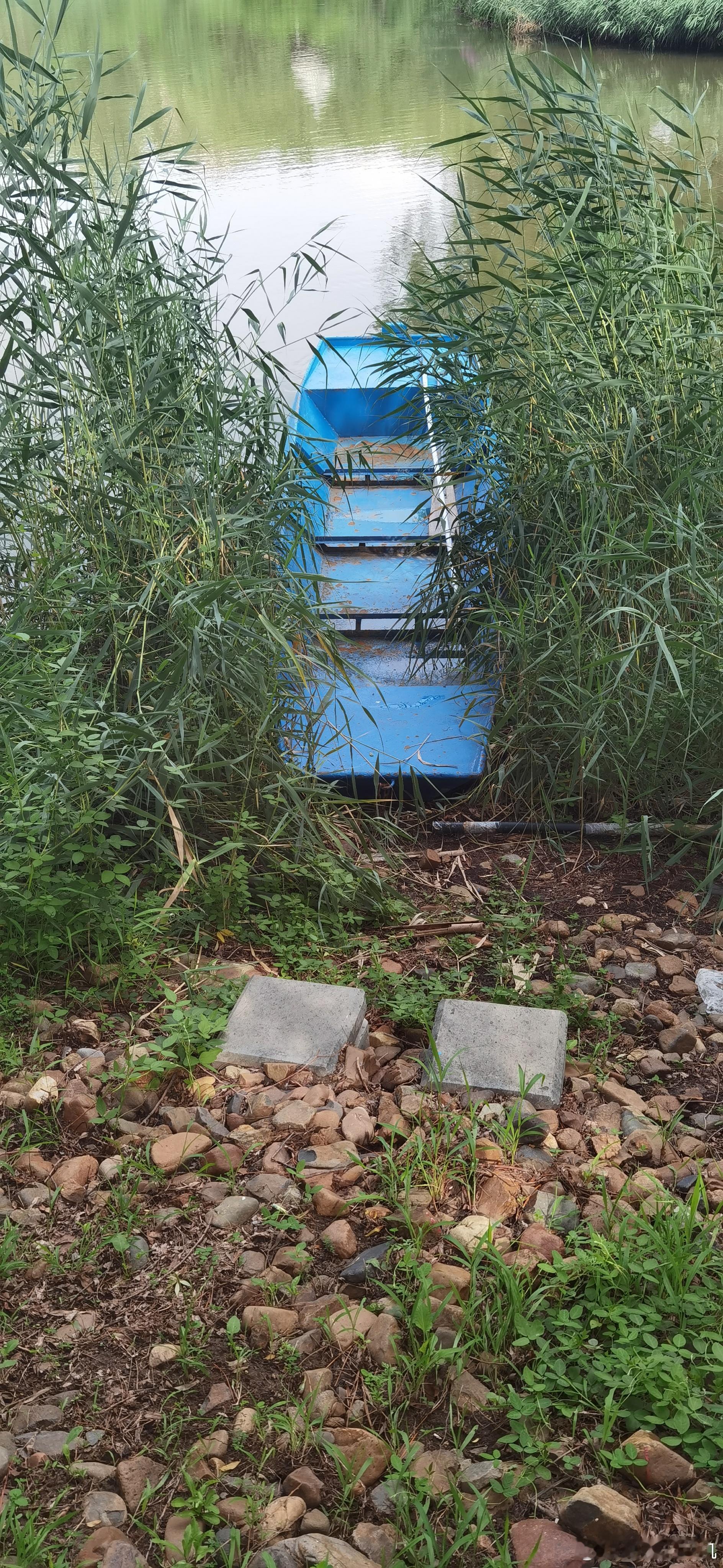 行走德惠随手拍 野渡无人舟不横德惠·中共德惠市委德惠市人民政府信访局