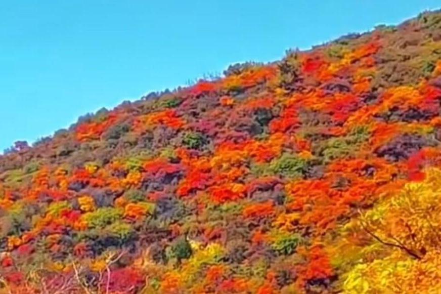 官宣！2026春节放假9天并减少调休，92.9%网友叫好，拼假攻略已刷屏
 
1