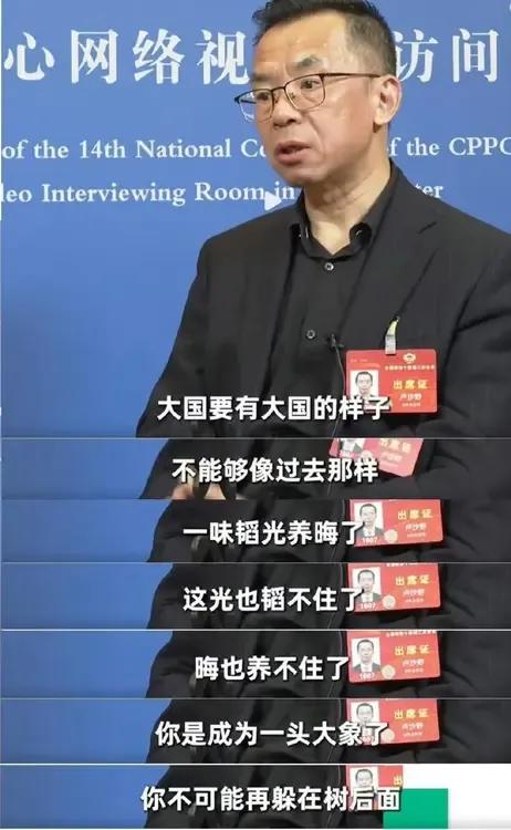 中国驻法国大使卢沙野表示：“大国要有大国的样子，你现在是一头大象，不能老是躲在大