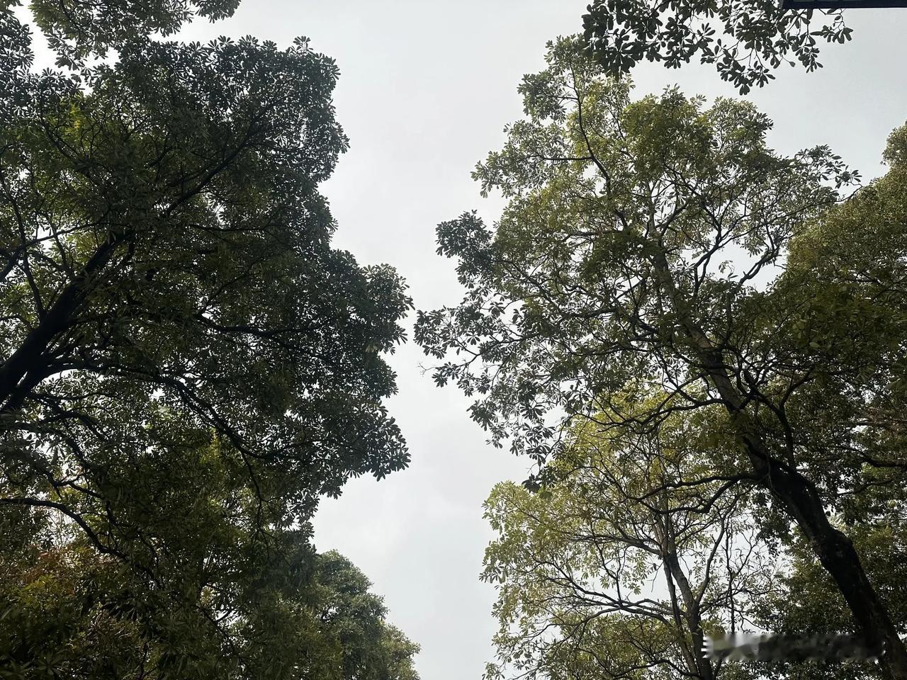 哎，要是真能时光倒流啊，我第一个念头就是：立马滚回读书那时候，拼了命也得好好学。