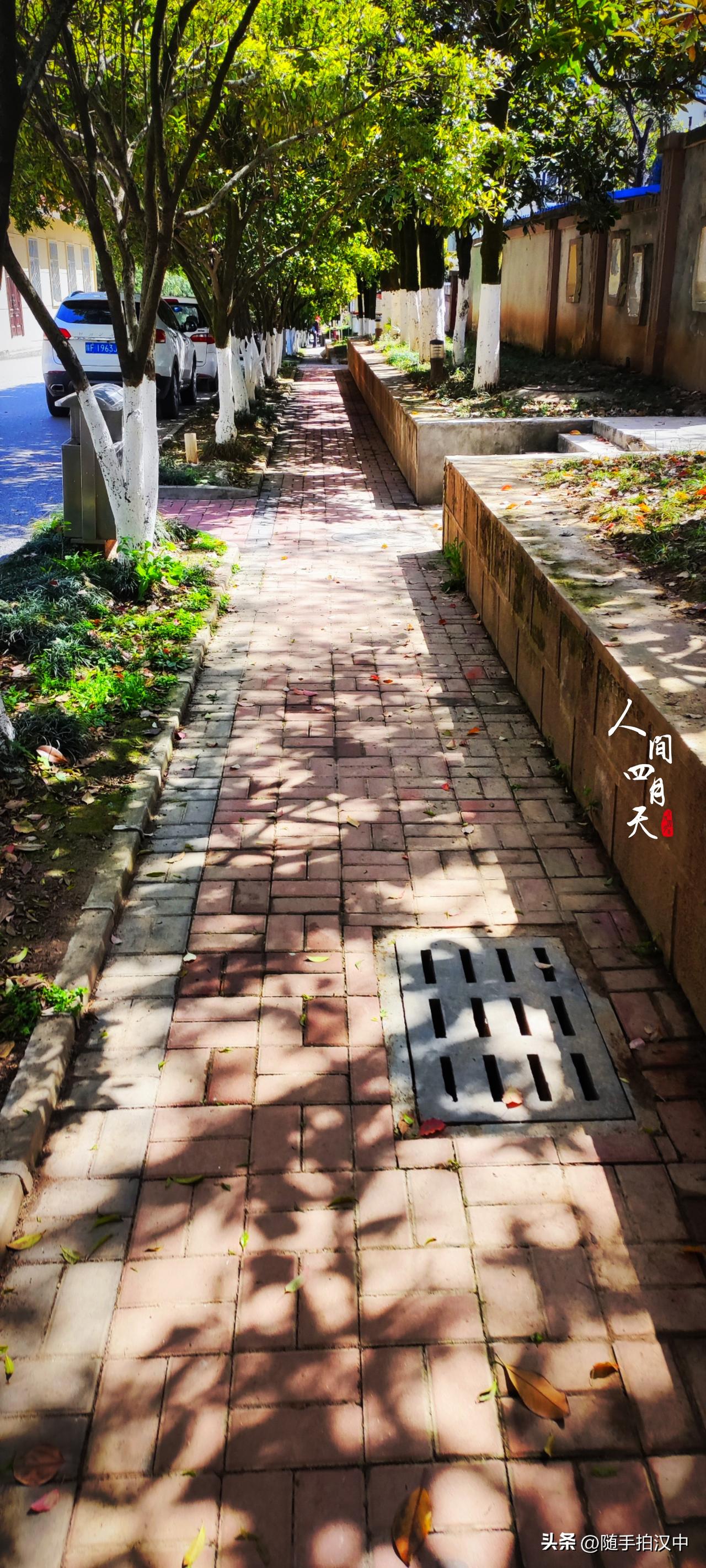 春天到了，幸福的人都出门逛逛。社区里的人行道洒落春光，走一路，似乎心里能装进春光