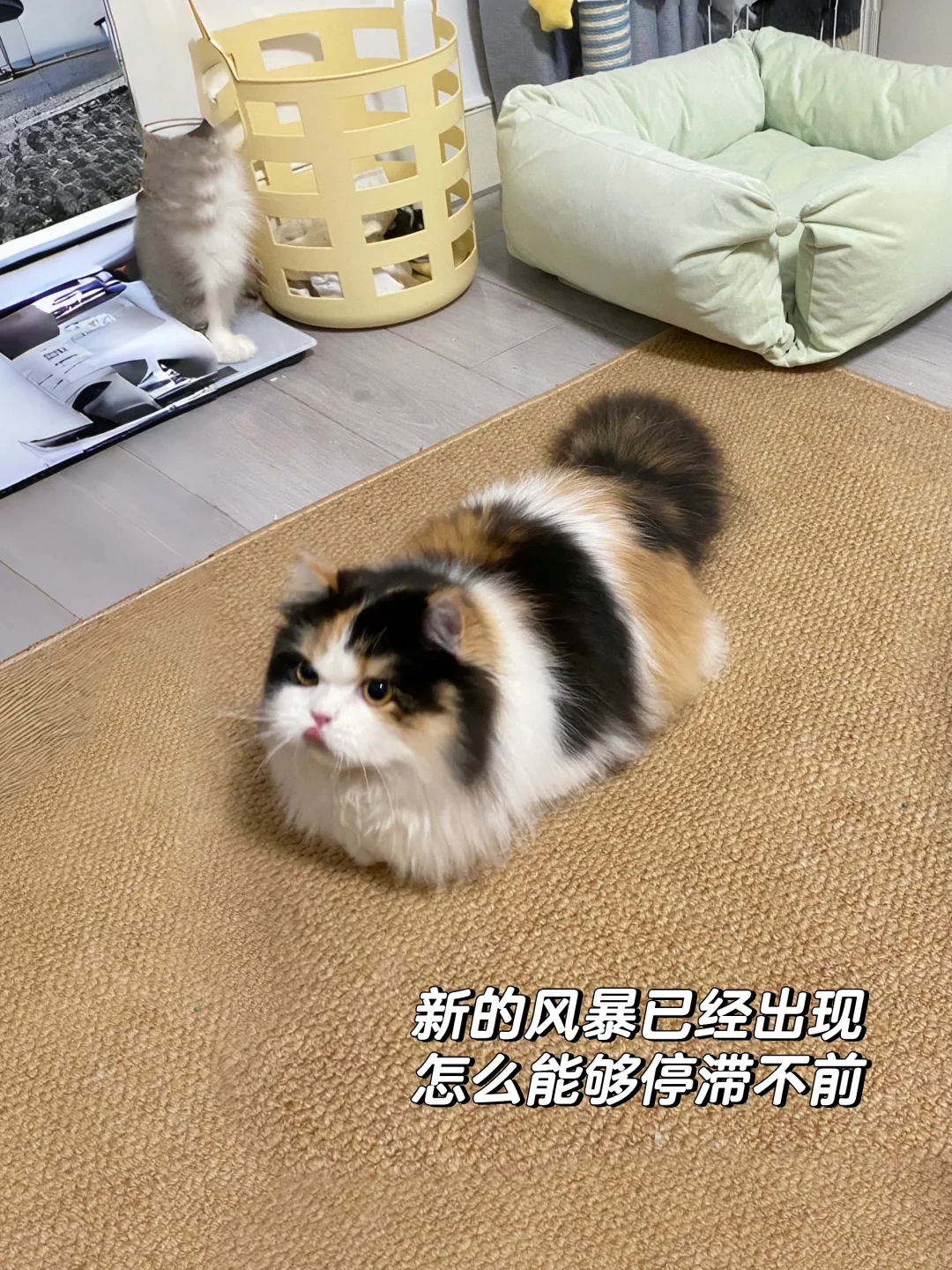 都闪开！宝要跑个800米！