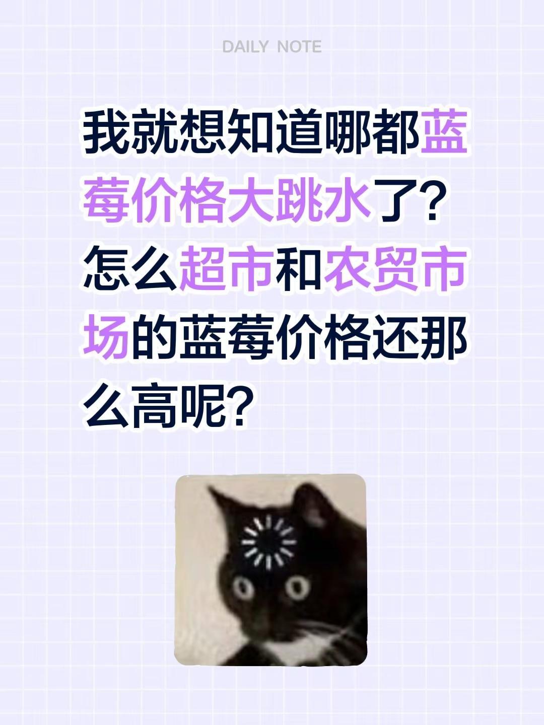 我就想知道哪都蓝莓价格大跳水了？怎么超市和农贸市场的蓝莓价格还那么高呢？蓝莓行情