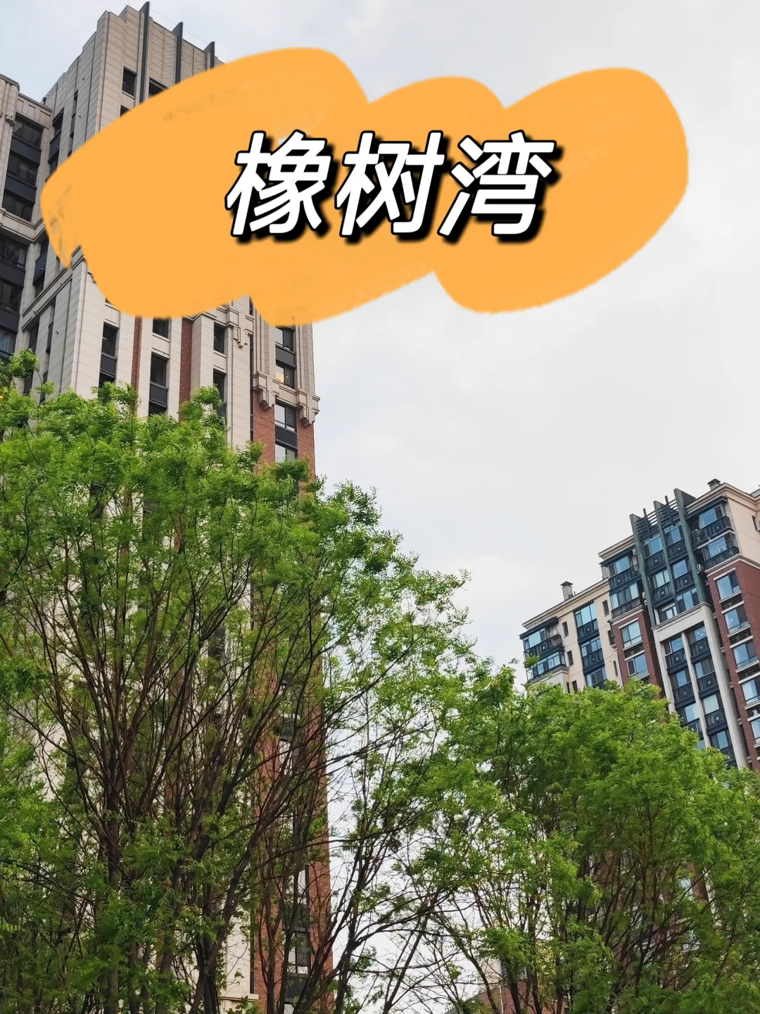 清河板块天花板，一文带你读懂橡树湾（下）