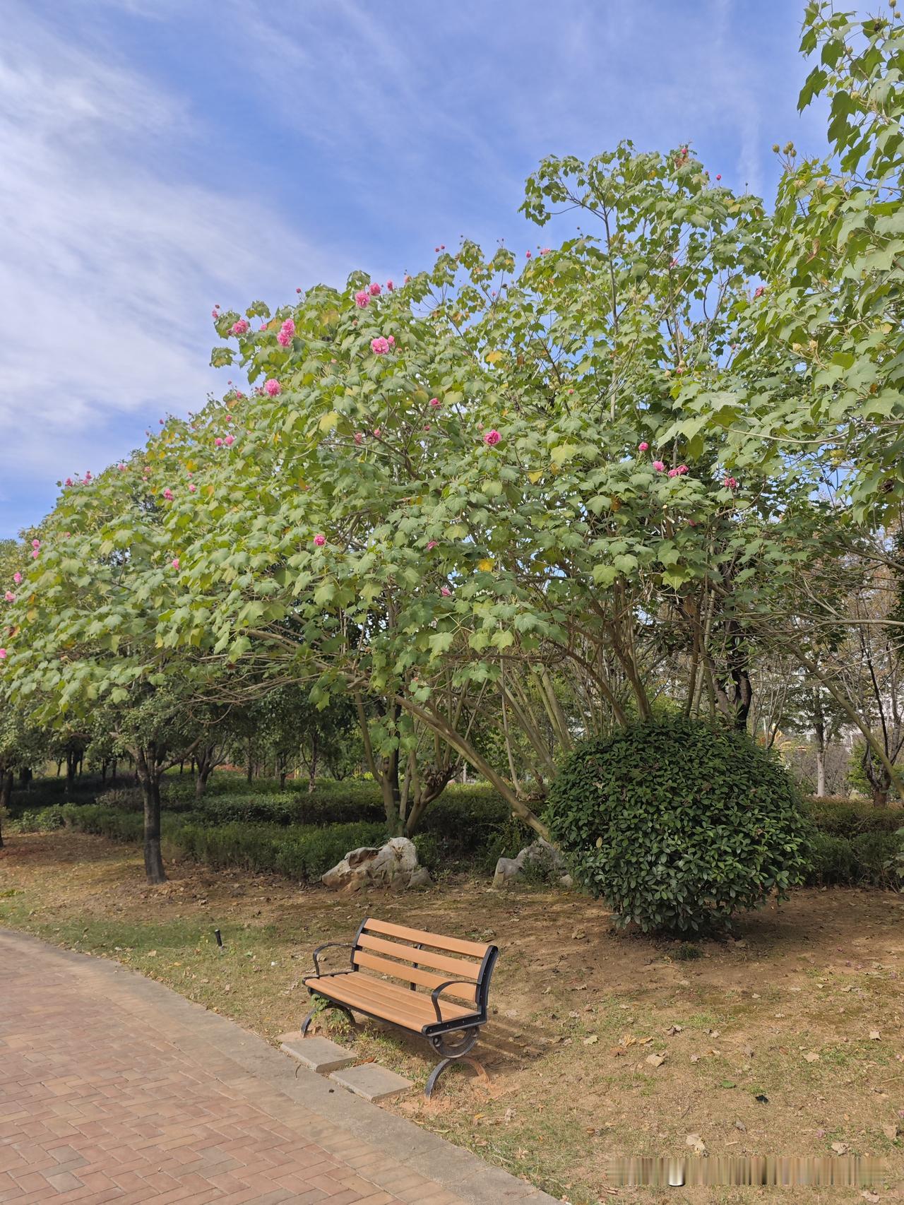 05年你的一句不想和我在一所大学，我去了2000公里外的大学，08年你一句我有男