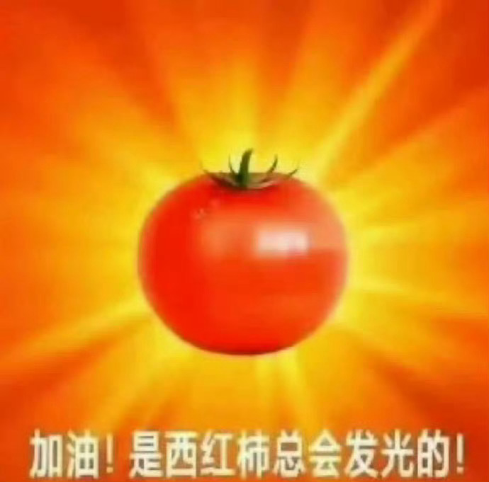 现在不知道更新点什么，以前会发修图这些好像也过去好久了，现在就去各种线下玩以前互