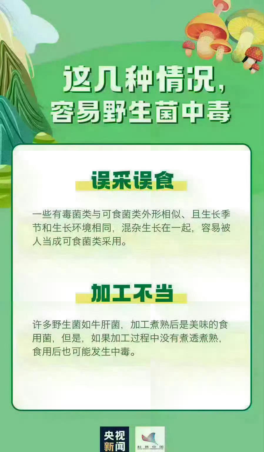 最近昆明这对夫妻的事儿太逗又太危险了。他们在安宁买了见手青回家自己做，估计没炒熟