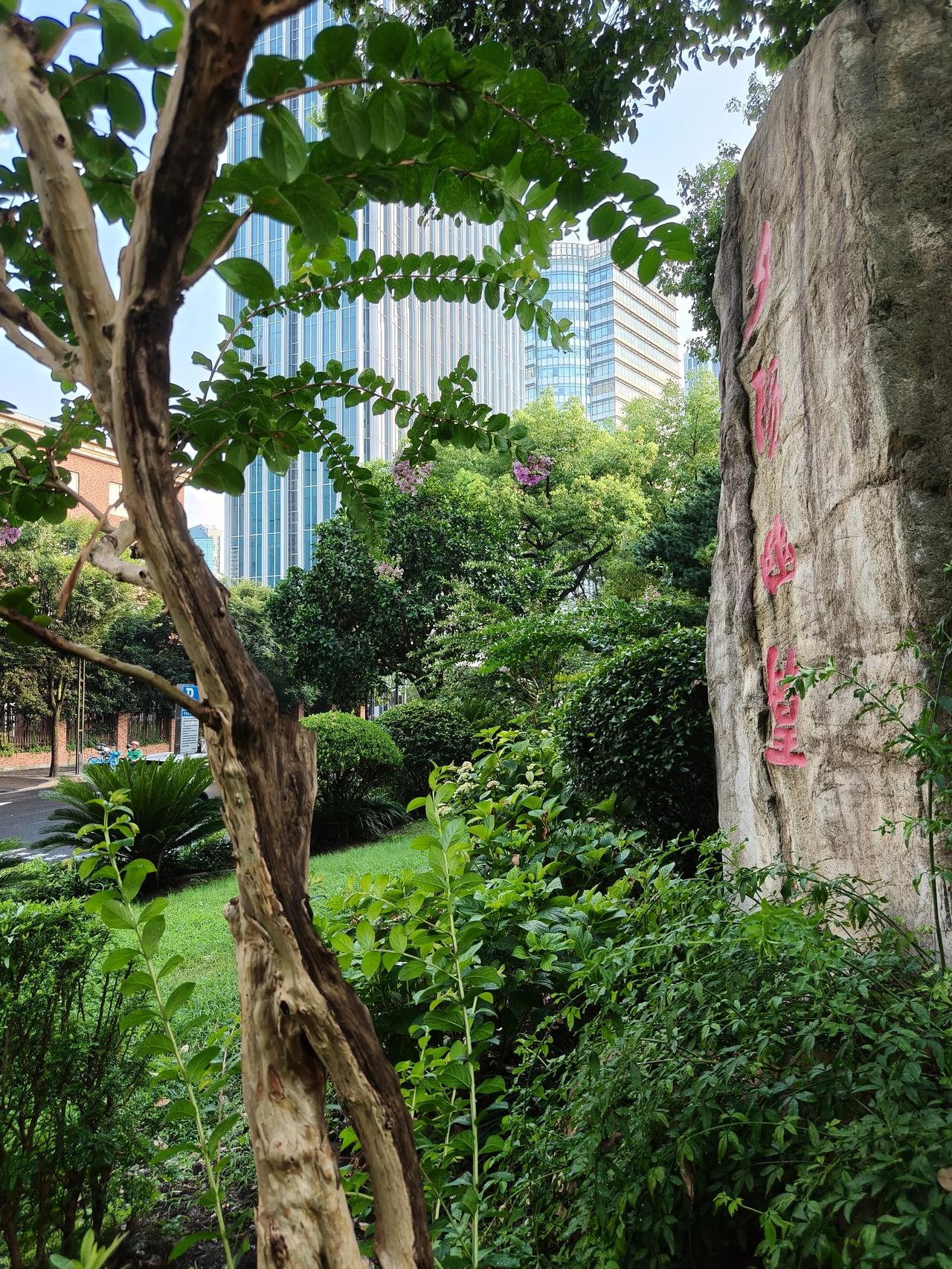 夏日美景随手拍实景图分享！

周末公园绿地散步随手拍…🌸