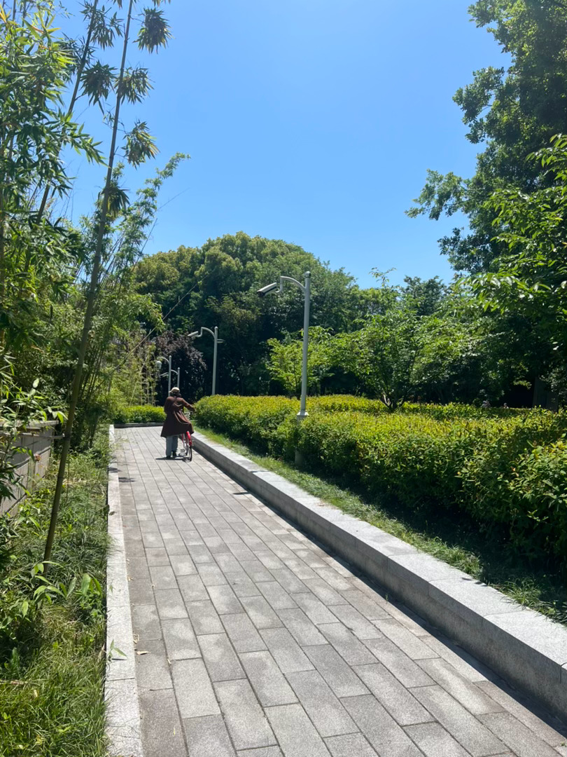 图书馆出来，随便到江边转了一下，今天新城人不多，很清静。几个月没来，发现三桥已经