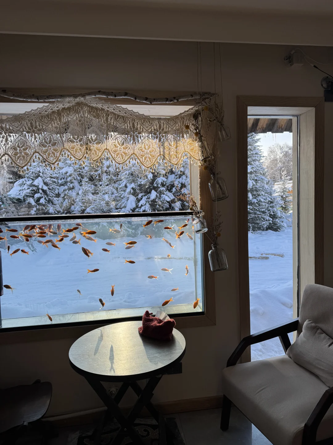 在阿勒泰不能错过的小店…….