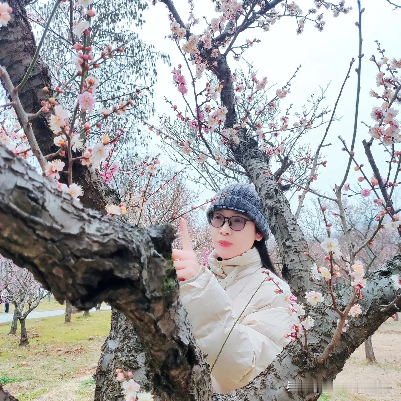 春回大地，万物复苏，有空，出来走走，融入山林，身心放松。

南京紫金山风景区，春