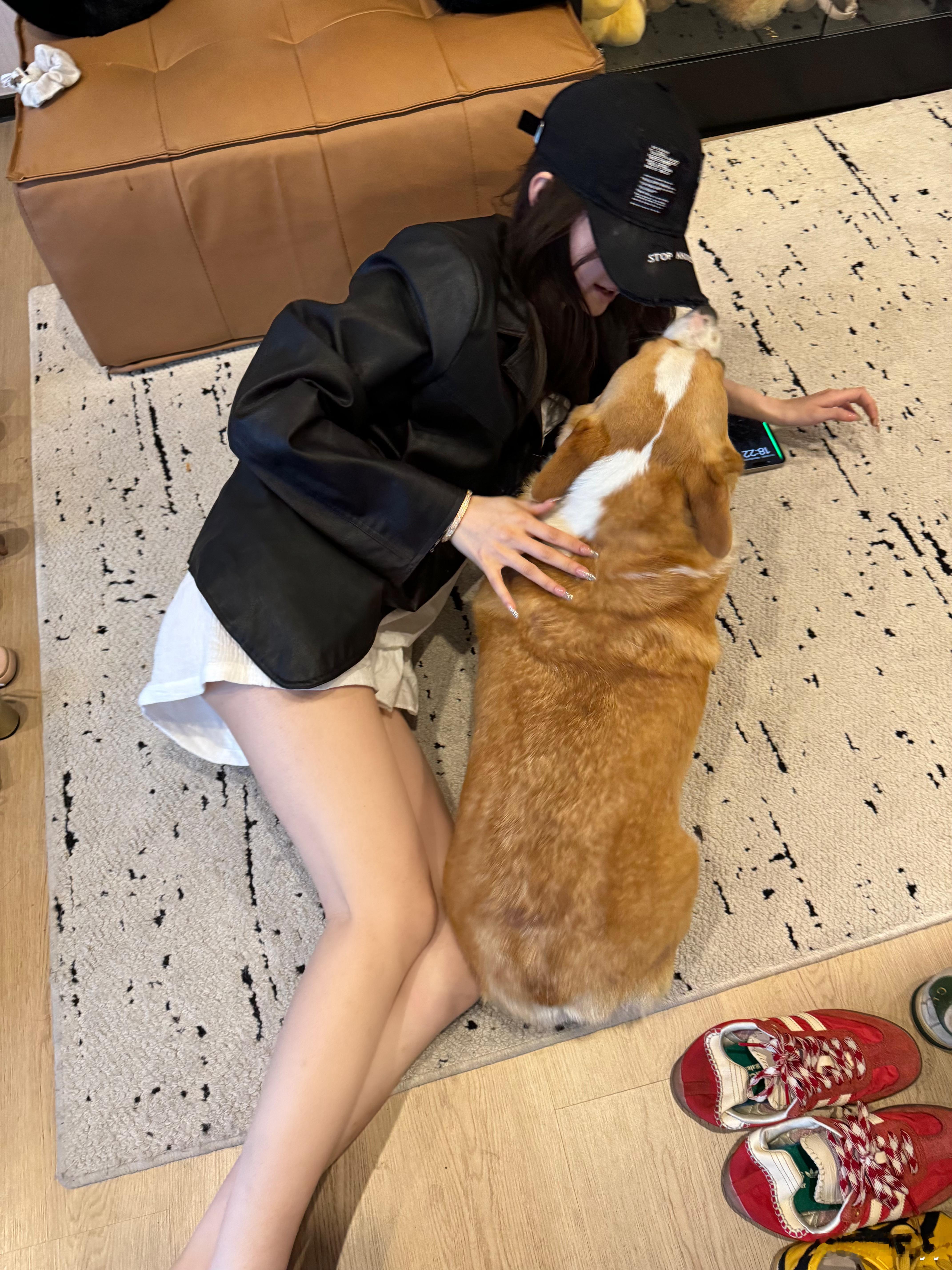 楼下超市骗了条狗回来 ​​​