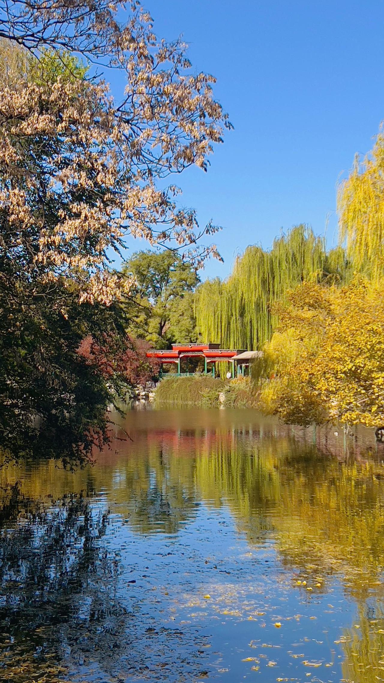 【原创】冬日北京动物园风光