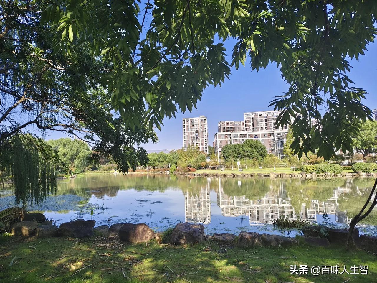 #秋日风景打卡#
湿地公园打卡记！周六静坐在公园石凳上，望远处美景，小桥流水，野
