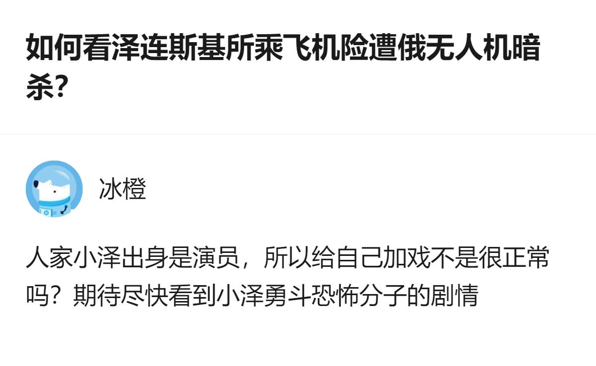 针对泽连斯基所乘飞机的相关事件，挪威公共电视台采访的斯特勒称其飞机在摩尔多瓦起飞