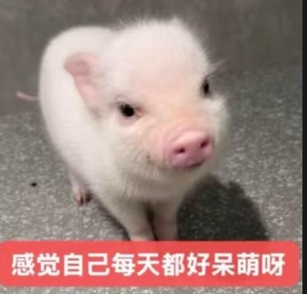 老旧的居民楼里，住着一位善良的阿姨。她热心淳朴，总把邻里的事放在心上。谁家出门忘