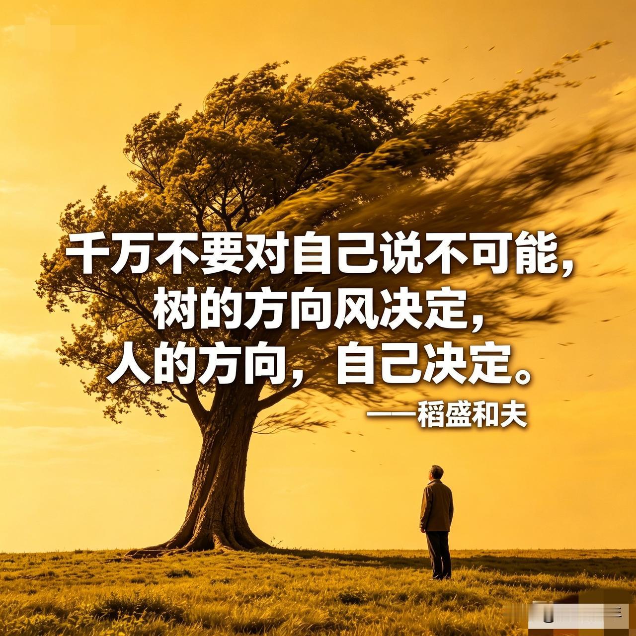树的方向，风决定；人的方向，自己决定——

日本的稻盛和夫，是一个影响了全球企业