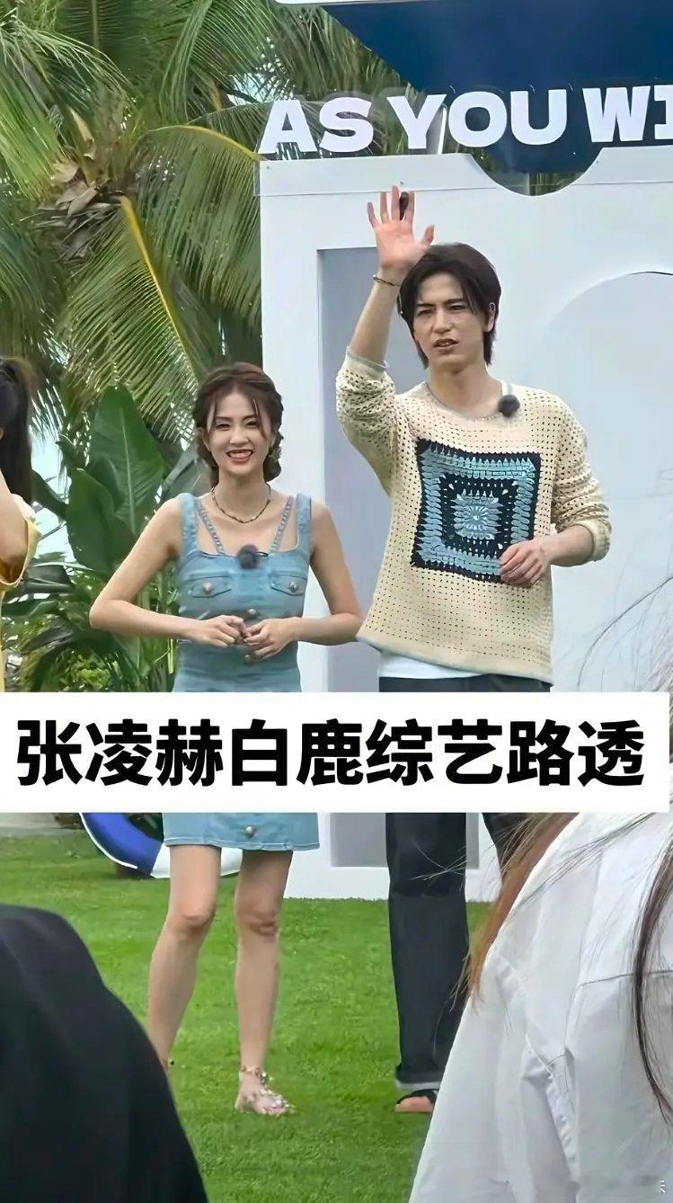 吹上天的神颜张凌赫和群嘲的普女 白鹿同框竟般配！到底谁在说谎？ 