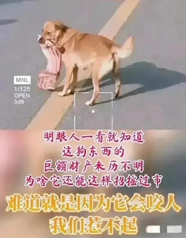 内涵了[看]