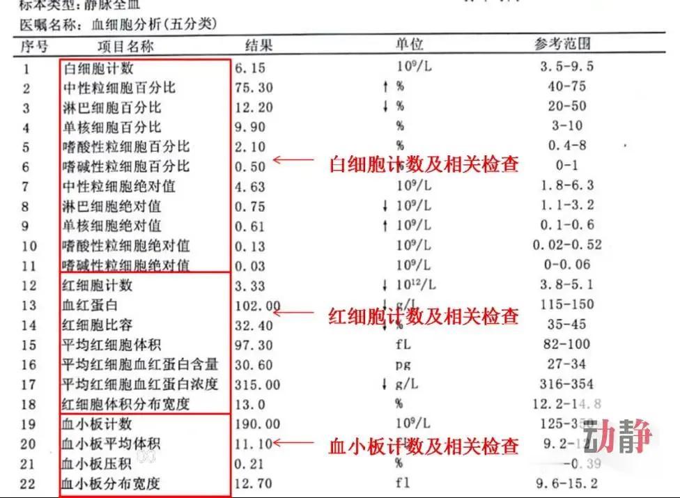 血常规报告单解读：五大关键指标一网打尽！

当我们拿到血常规的化验单时，众多的指