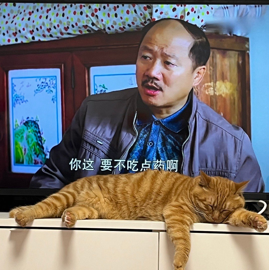 这个感觉可以怼人。 #熊不行# ​​​