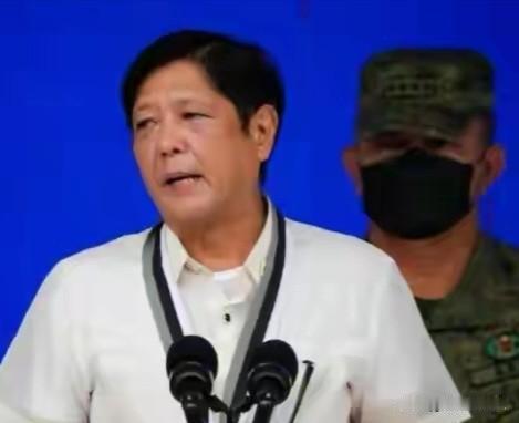中国白送菲律宾一座跨海大桥，地震后反遭网暴？内行一看哭笑不得
 
斥资31.26