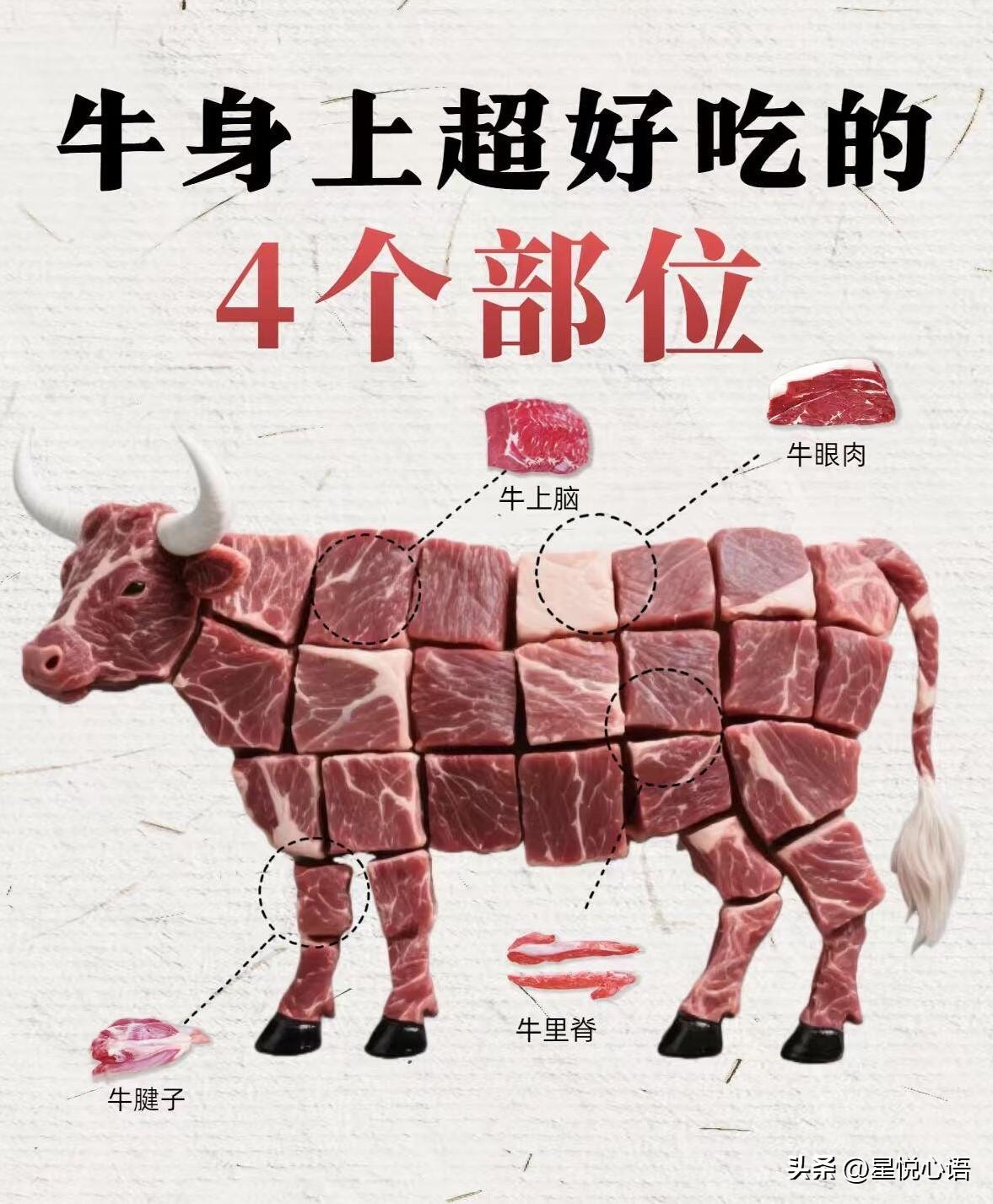 买牛肉真别只知道牛腩、里脊了！
牛身上这4个部位，才是真的好吃又实惠。

吊龙肉