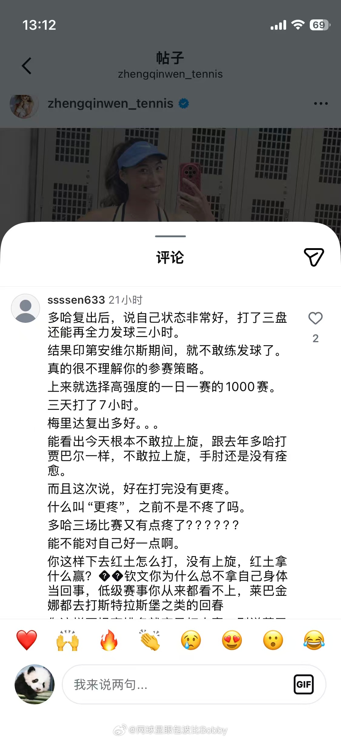 热心肠的粉丝们网球
