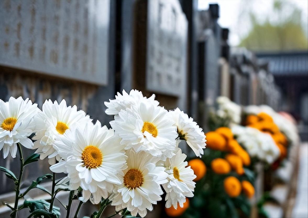 新的殡葬制度将于 2026 年 3 月 30 号执行，大概意思就是：一切从简，城