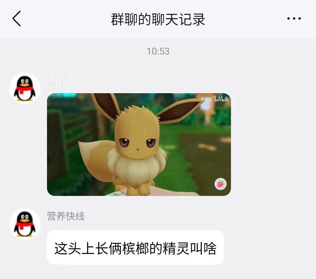 大果伊布宝可梦