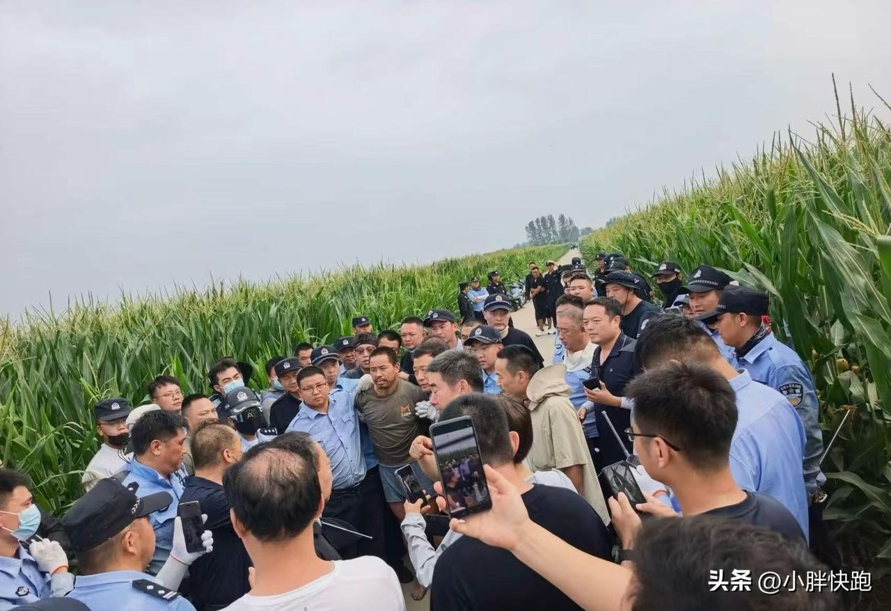 看到抓住了，心凉凉，意难平，上天保佑[祈祷][祈祷][祈祷]