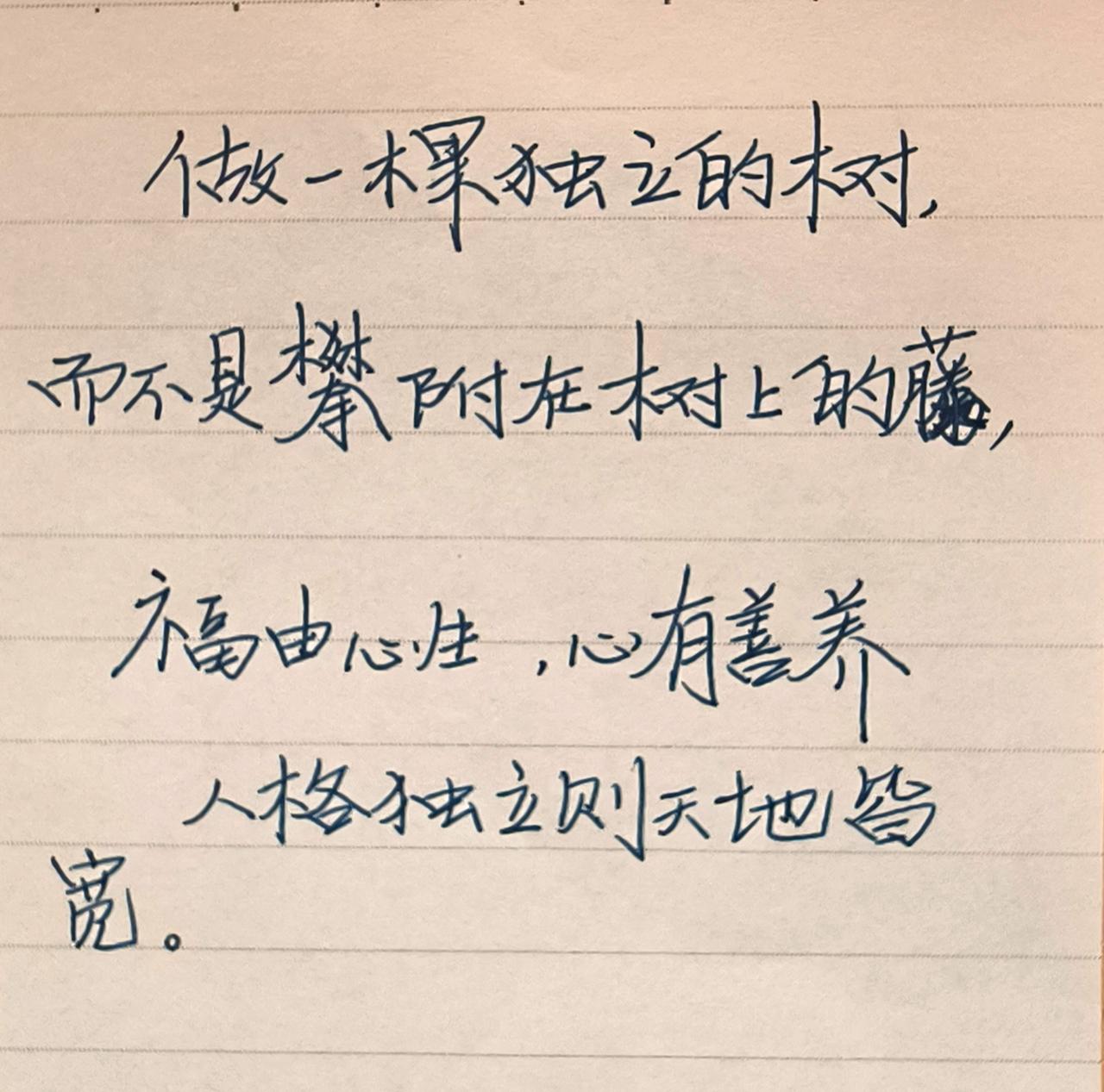 手写 每天学习一点点 每日分享 手写文字分享 文字控